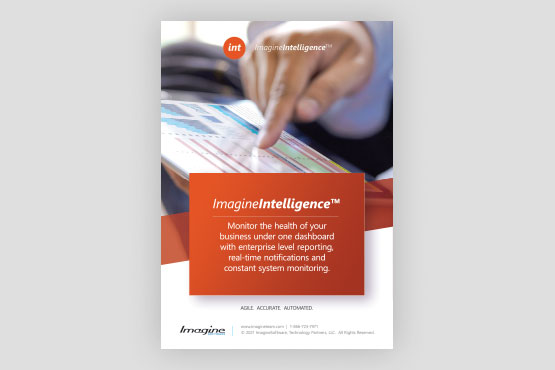 ImagineIntelligence by ImagineSoftware